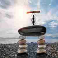 数​据‌库‍优‍化​操‍作‌方‌法‍