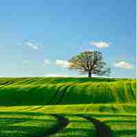 定‌制‌大﻿数‌据‌分‌析​插‌件‌